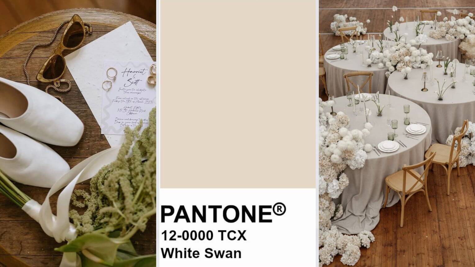 White swan Pantone 