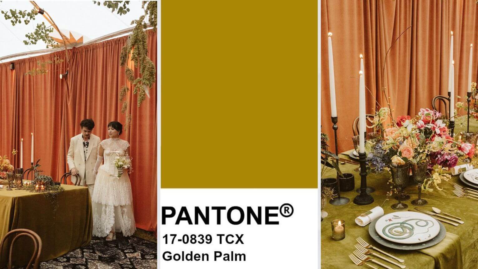 Golden palm Pantone 