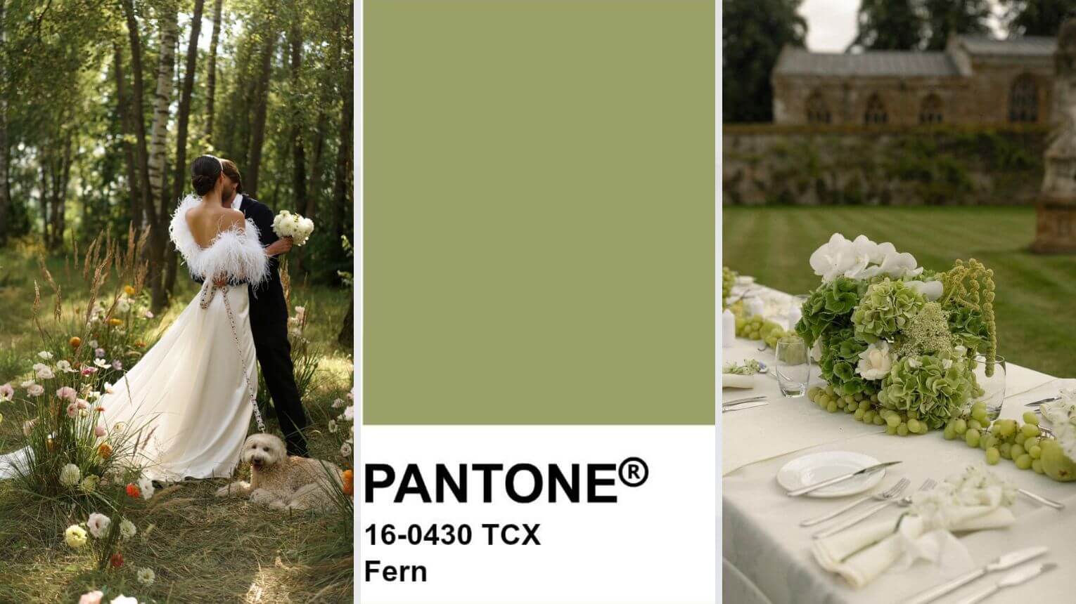 Fern Pantone 