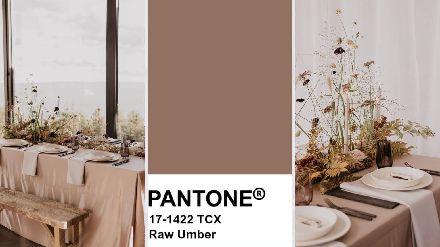 Raw umber Pantone 