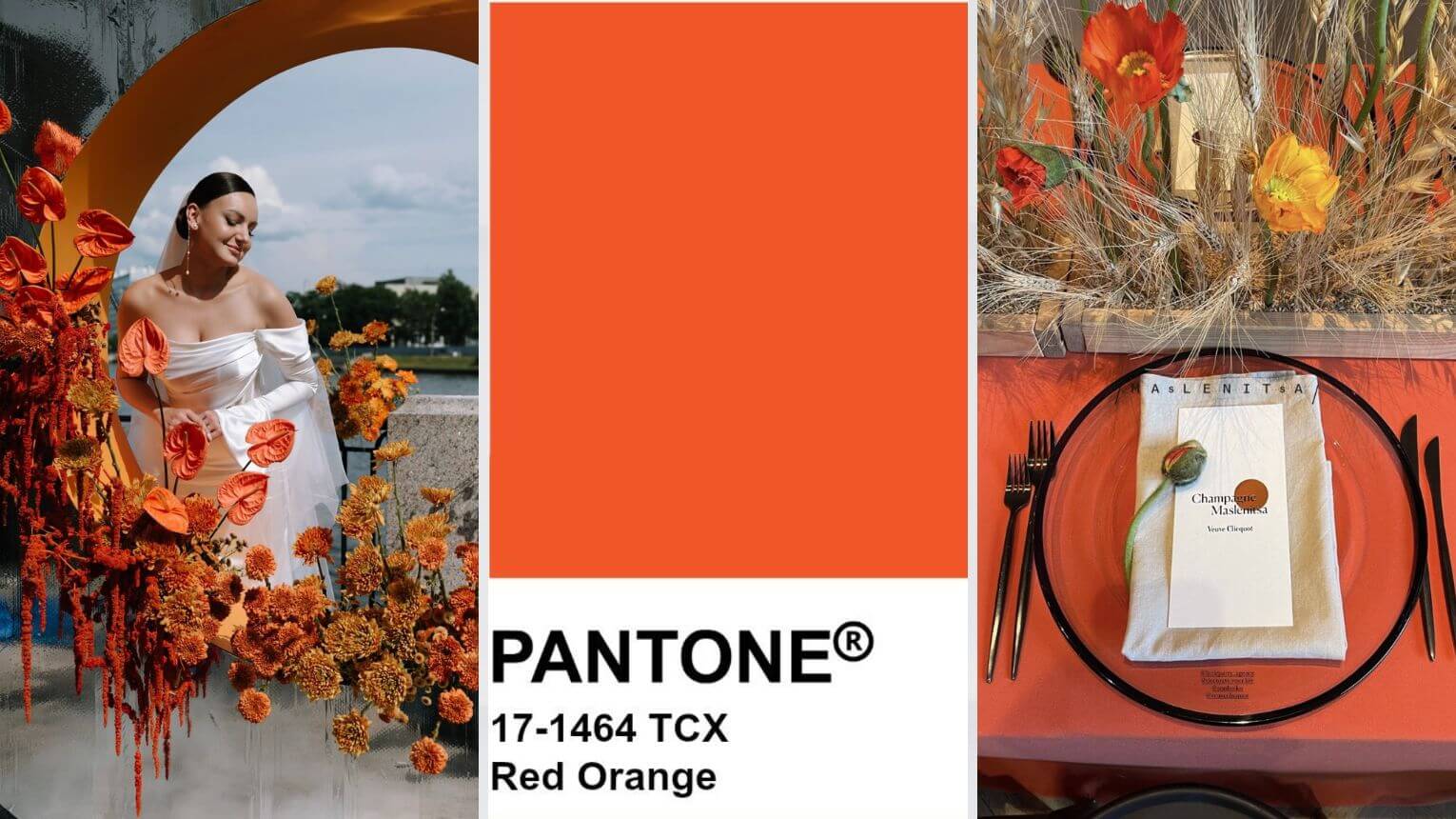 Red orange Pantone 