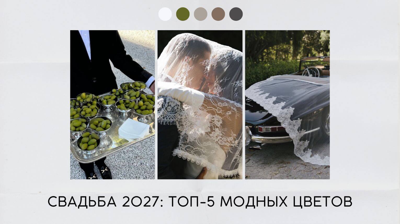Свадьба 2027 цвета